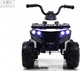 Миниатюра изображения товара Детский квадроцикл RiverToys L222LL (белый)
