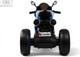 Миниатюра изображения товара Детский мотоцикл RiverToys C005MC (синий)