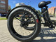Миниатюра изображения товара Электровелосипед Smart Balance Tank Trike