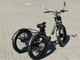 Миниатюра изображения товара Электровелосипед Smart Balance Tank Trike
