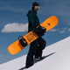 Миниатюра изображения товара Сноуборд Jones Snowboards Rally Cat 2024-2025 (р.161)