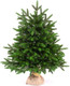 Миниатюра изображения товара Ель искусственная National Tree Company Лесная / ЛС-60 (60см)