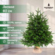 Миниатюра изображения товара Ель искусственная National Tree Company Лесная / ЛС-60 (60см)