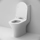 Миниатюра изображения товара Унитаз напольный AM.PM C748600SC