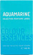 Миниатюра изображения товара Туалетная вода Delta Parfum Colour Essences Aquamarine (100мл)