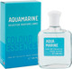 Миниатюра изображения товара Туалетная вода Delta Parfum Colour Essences Aquamarine (100мл)