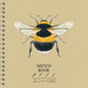 Миниатюра изображения товара Скетчбук Paper Art Kids Draft and Craft. Bee / ТСК305307