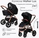 Миниатюра изображения товара Детская универсальная коляска Tomix Walker Lux 2 в 1 / BD101BLUX (Black/Rose Gold)