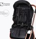 Миниатюра изображения товара Детская универсальная коляска Tomix Walker Lux 2 в 1 / BD101BLUX (Black/Rose Gold)