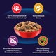Миниатюра изображения товара Сухой корм для кошек Felix Двойная вкуснятина с мясом (10кг)