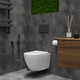 Миниатюра изображения товара Унитаз подвесной Roxen Antares Bidet 530185-01X