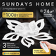 Миниатюра изображения товара Люстра Sundays Home R-36 / 6297
