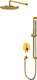 Миниатюра изображения товара Душевая система со смесителем Whitecross Y YSET05GLB (брашированное золото)