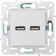 Миниатюра изображения товара Розетка IEK Skandy SK-U21-D31-K01 (арктический белый)