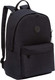 Миниатюра изображения товара Рюкзак Grizzly RXL-423-2 (черный)