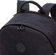 Миниатюра изображения товара Рюкзак Grizzly RXL-423-2 (черный)