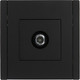 Миниатюра изображения товара Розетка IEK Forte&Piano FP-A10-O-K02 (черный)