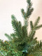 Миниатюра изображения товара Ель искусственная GreenTerra Ноэлла (90см)