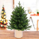 Миниатюра изображения товара Ель искусственная GreenTerra Ноэлла (90см)