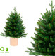 Миниатюра изображения товара Ель искусственная GreenTerra Ноэлла (90см)