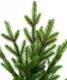 Миниатюра изображения товара Ель искусственная GreenTerra Сапфир (1.9м)