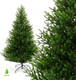 Миниатюра изображения товара Ель искусственная GreenTerra Сапфир (1.9м)