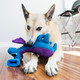 Миниатюра изображения товара Игрушка для собак KONG Woozles Blue M / 68860