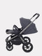 Миниатюра изображения товара Детская универсальная коляска Rant Flex 2в1 / RA076 (Graphite)