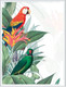 Миниатюра изображения товара Постер Citydecor Попугайчики 8 (30x40)