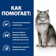Миниатюра изображения товара Сухой ветеринарный корм для кошек Hill's Prescription Diet Liver Care Chicken (1.5кг)