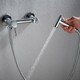 Миниатюра изображения товара Гигиенический душ со смесителем Shevanik S107