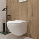 Миниатюра изображения товара Унитаз подвесной с инсталляцией Lauter Sulzdorf + GROHE Rapid SL 39504000 (белый с микролифтом)