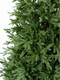 Миниатюра изображения товара Ель искусственная National Tree Company Тиффани / ТФ-215 (215см)
