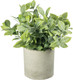 Миниатюра изображения товара Искусственное растение Sundays Home PB05-11 / 6405000719B