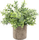 Миниатюра изображения товара Искусственное растение Sundays Home PB05-11 / 6405000719B