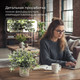 Миниатюра изображения товара Искусственное растение Sundays Home PB05-12 / 6405000719C