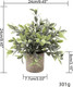 Миниатюра изображения товара Искусственное растение Sundays Home PB05-12 / 6405000719C