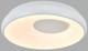 Миниатюра изображения товара Потолочный светильник Indigo Light Cratere V000152L