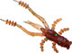 Миниатюра изображения товара Мягкая приманка Crazy Fish Crayfish 1.8 / 26-45-34-6