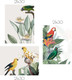 Миниатюра изображения товара Постеры Citydecor Попугайчики 2 (3шт, 21x30)