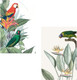 Миниатюра изображения товара Постеры Citydecor Попугайчики 6 (2шт, 40x60)