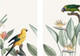 Миниатюра изображения товара Постеры Citydecor Попугайчики 7 (2шт, 40x60)