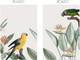 Миниатюра изображения товара Постеры Citydecor Попугайчики 7 (2шт, 40x60)