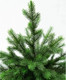 Миниатюра изображения товара Ель искусственная National Tree Company Грация Премиум 3D / ГР/ПР-60 (60см)