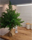 Миниатюра изображения товара Ель искусственная National Tree Company Грация Премиум 3D / ГР/ПР-60 (60см)