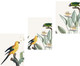 Миниатюра изображения товара Постеры Citydecor Попугайчики 5 (3шт, 30x40)