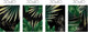 Миниатюра изображения товара Постеры Citydecor Тропики 3 (4шт, 30x40)