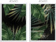 Миниатюра изображения товара Постеры Citydecor Тропики 1 (2шт, 40x60)