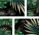 Миниатюра изображения товара Постеры Citydecor Тропики 2 (4шт)