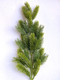 Миниатюра изображения товара Ветка новогодняя Geliu sala Еловая / BRS-H201631A  (64см)